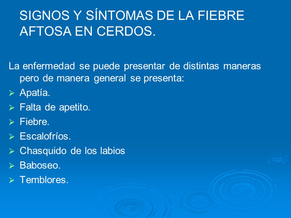sintomas de la erisipela porcina